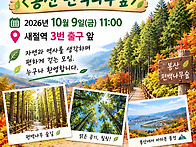 역사둘레길 신바람 2025..