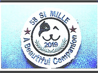 카페를 양도합니다(前) 안..