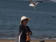 영흥도