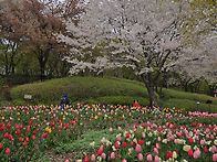 4월 13일 월요일 출석부