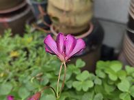 이름 알고싶어요