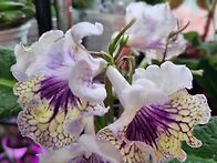 잊지못할 요넘에 ..