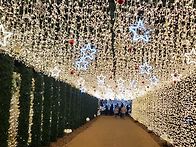 송해공원의 야경ㆍ