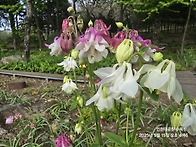 인천대공원 수목원