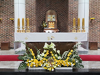 제대 꽃꽂이 - 주..