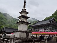 제113차 경기 양평 용문산..