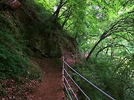 제114차 정기산행 공지 강..