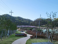 세상살이