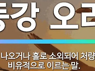 25년 한국 정치전망 중간리..