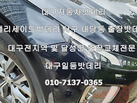대구팰리세이드자동차밧데..