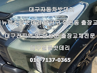 대구올뉴렉스턴자동차밧데..