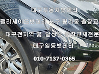 대구팰리세이드자동차밧데..