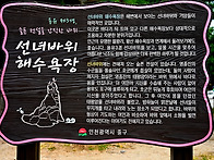 [인천] 선녀바위둘..