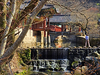 [순천] 천년고찰 ..
