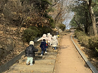 국제 산의 날