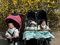 산들반 4월 3주
