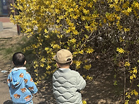 4월 2주