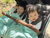 5월 1주