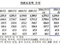 '환율 방어' 3월..