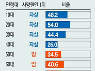 2024년 연령대별~..