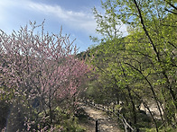 26.04.16. 북한산 햇살봉..