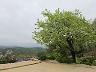 봄에 찾아 본 부석사