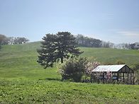 푸른 초목 위 작은 농가