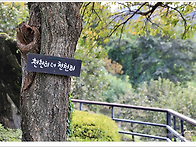 25.09.13. 옥천 천상의 ..