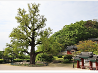 26.04.29~30.(영천 여행..