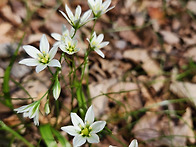 '26.04.16. 북한산 햇살봉