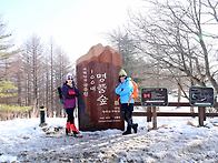 2016년 1월 운탄고도