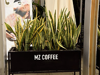 MZ coffee