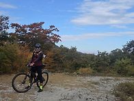 회문산, 구절초 공원 다녀..