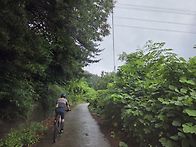 구성산 다녀왔습니다.
