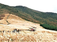 biking tour영남알프스 (..