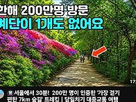 숲길트레킹
