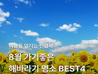 노란 해바라기 물결 속 인..