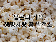 3.지구촌시민사회 3일전3..