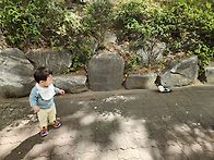 10월 1~2주 도윤