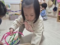 11월 3 ~ 4주 세이