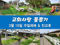 교회사랑 풀뽑기 