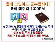 함께 배우는 QA 