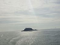 대이작도 결산보고