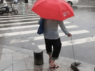 가을 거짓없는 계..
