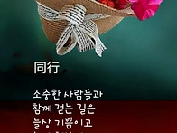 카톡인사글