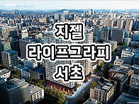지젤 라이프그라피 서초 ..