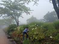 합천 황매산