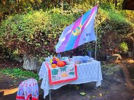 2025년 10월11월..