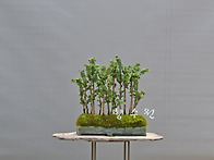 석화회