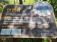 26년 5월 29일 울산, 술..